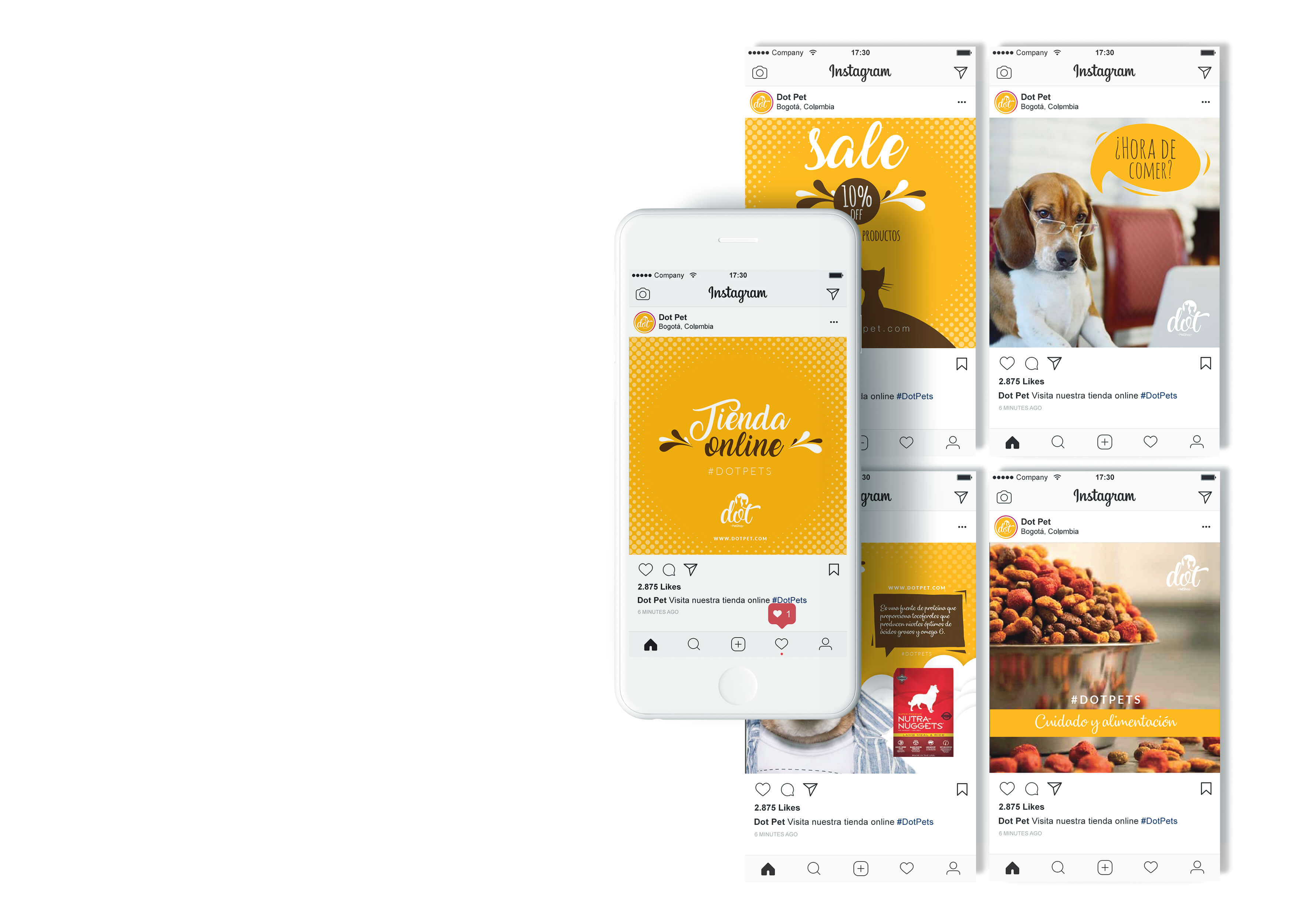 Diseño 5
